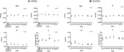 Tumor Microenvironment Modifications Recorded With IVIM Perfusion Analysis and DCE-MRI After Neoadjuvant Radiotherapy: A Preclinical Study